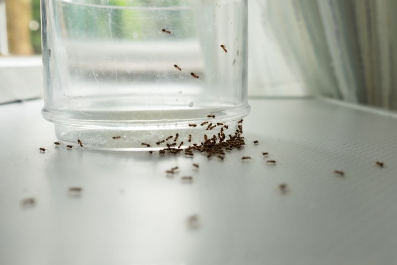 Ant Control Service