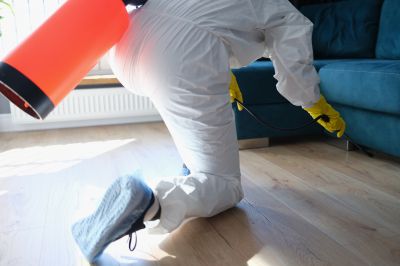 Fumigation Service in San Jose, CA